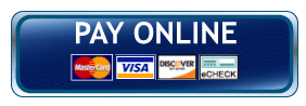 Online Payment