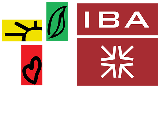 IBA CED – Empowering entrepreneurs of tomorrow