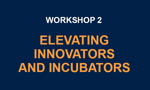 Workshop 2: Day 3 & 4: Elevating Innovators and Incubators